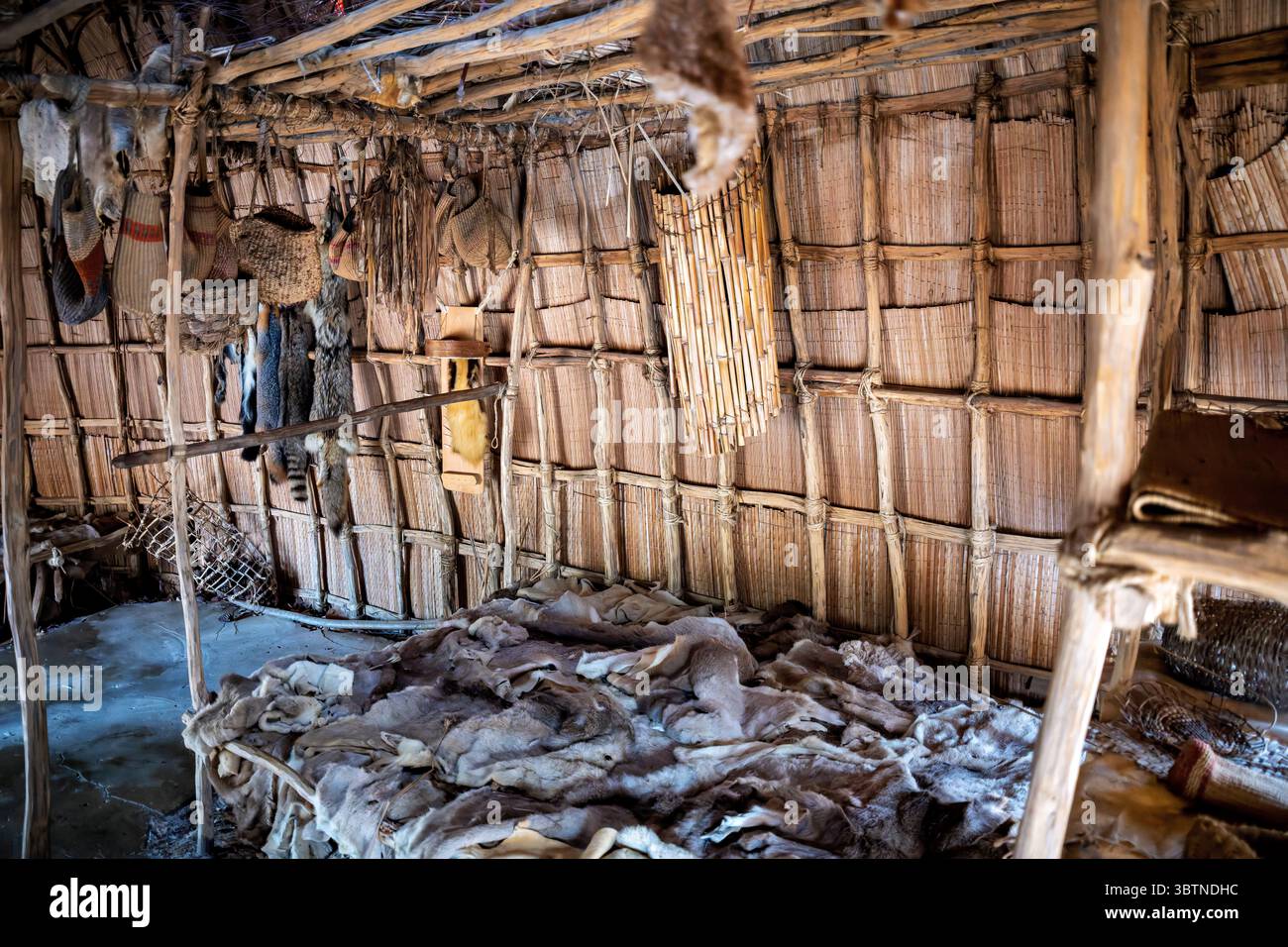 Paspahegh Town Interior Jamestown Settlement Williamsburg Virginia // WILLIAMSBURG, Virginia - Paspahegh Town at Jamestown Settlement ricrea il tradizionale stile di vita del popolo Paspahegh, uno degli oltre 30 gruppi tribali di lingua algonchina che appartenevano al capo supremo Powhatan. La ricreazione si basa sui ritrovamenti archeologici dei siti lungo il fiume James, sulla tradizione orale dello stato della Virginia e sulle tribù riconosciute a livello federale, e sulle descrizioni registrate dai coloni inglesi nel XVII secolo. Il boscoso schiumoso presenta case coperte di canne, aree cucina e agricultura Foto Stock
