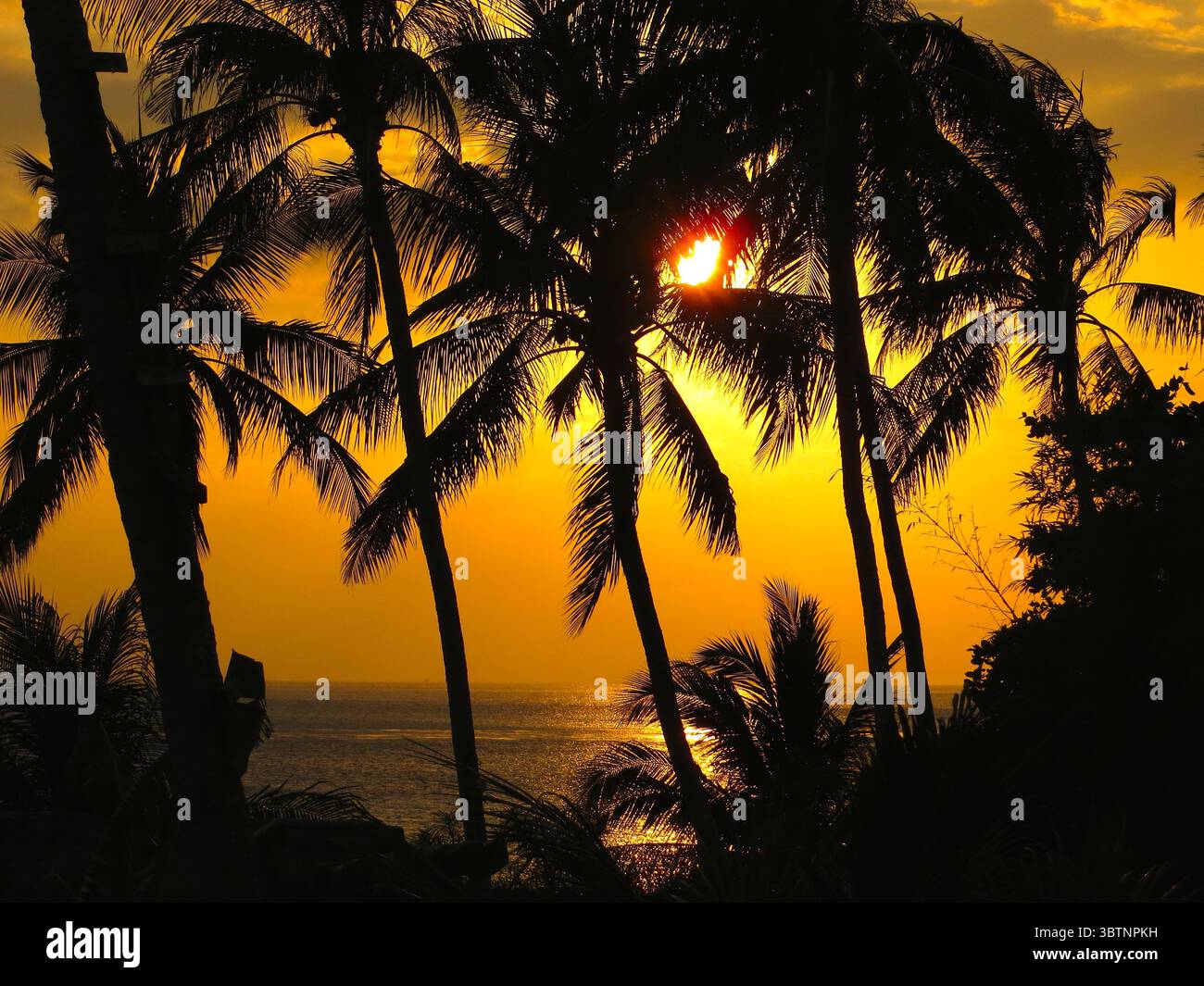 Silhouette tropicali al tramonto, pura felicità dell'isola Foto Stock