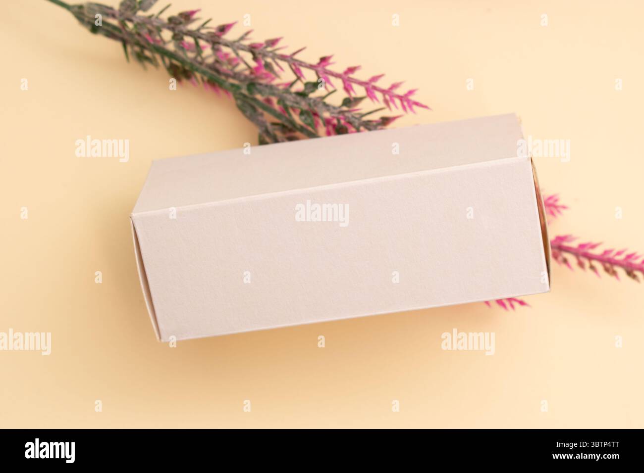 Modelli cosmetici con packaging pulito ed elementi naturali, ideali per il branding della pelle, campagne benessere, presentazioni di prodotti e lif minimalista Foto Stock