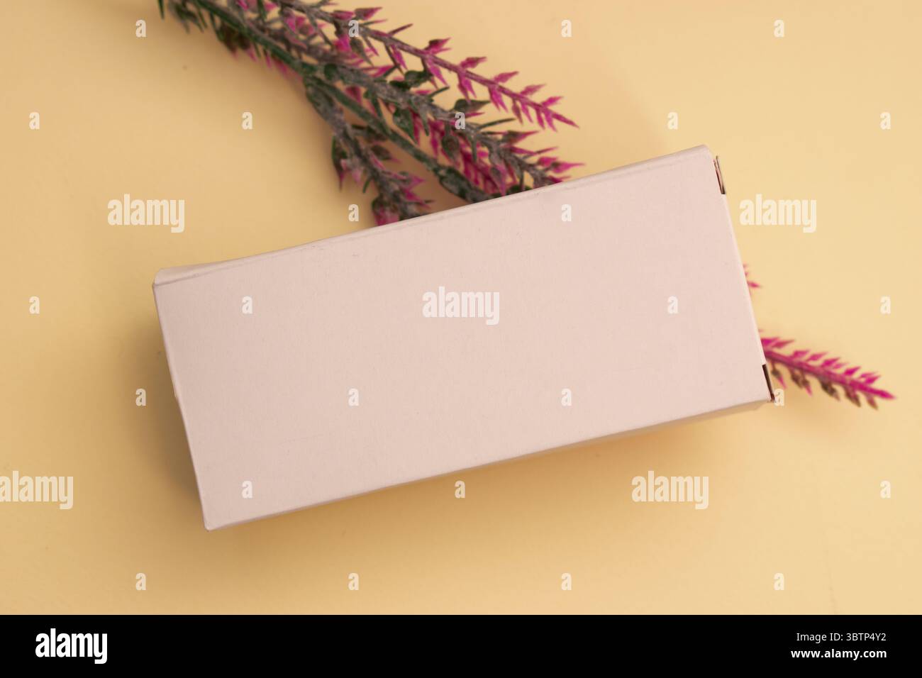 Modelli cosmetici con packaging pulito ed elementi naturali, ideali per il branding della pelle, campagne benessere, presentazioni di prodotti e lif minimalista Foto Stock