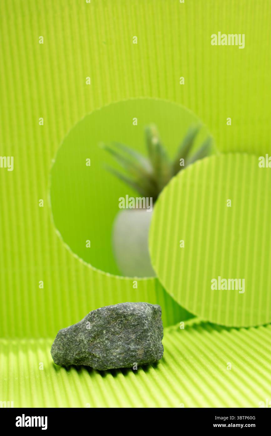 Fondo creativo con figuras geométricas y elementos botánicos como lavanda y suculentas. Ideale para Diseño gráfico, presentación de productos cosmético Foto Stock