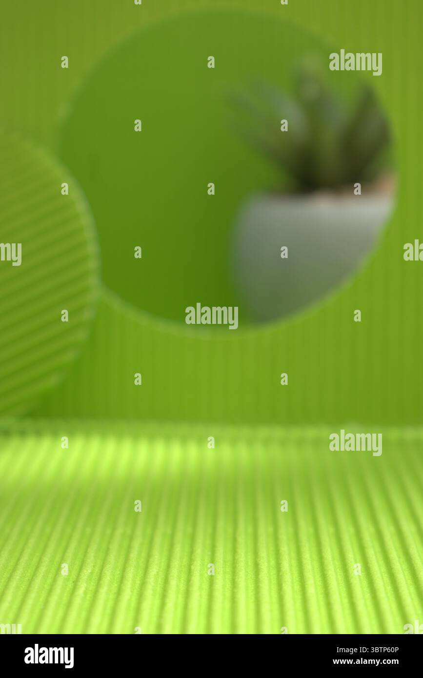 Fondo creativo con figuras geométricas y elementos botánicos como lavanda y suculentas. Ideale para Diseño gráfico, presentación de productos cosmético Foto Stock