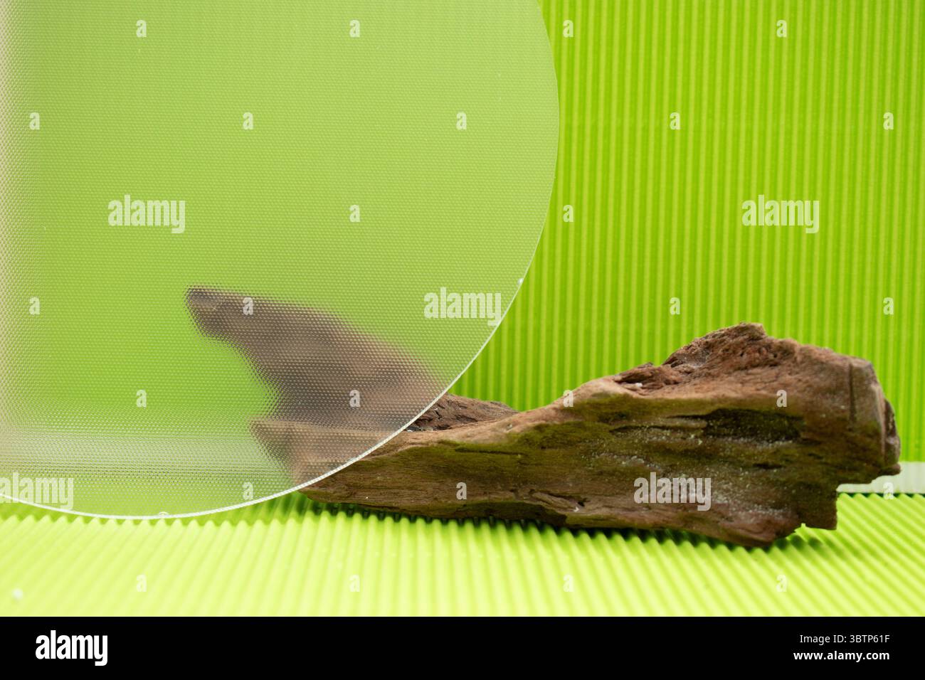 Fondo creativo con figuras geométricas y elementos botánicos como lavanda y suculentas. Ideale para Diseño gráfico, presentación de productos cosmético Foto Stock