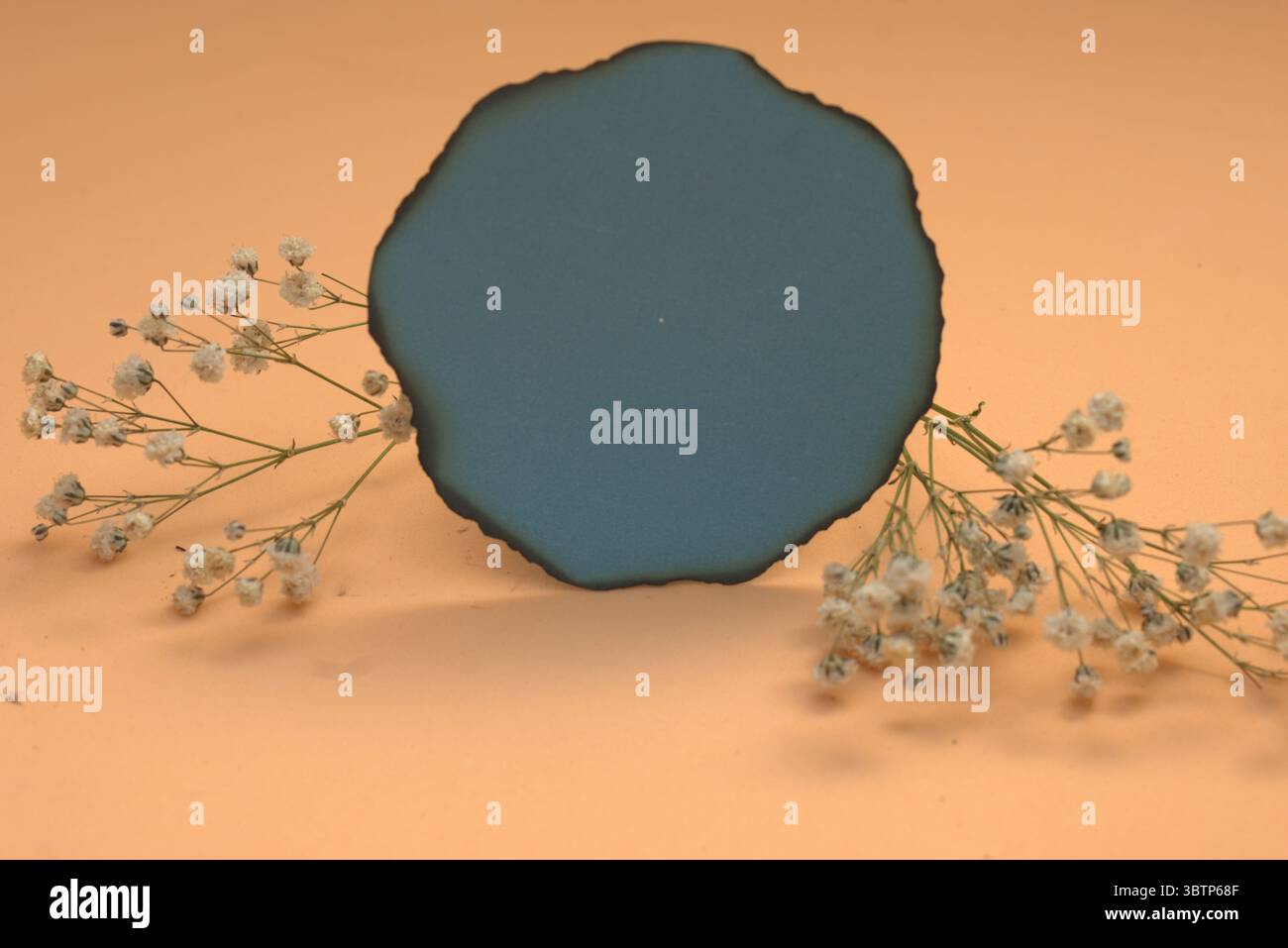 Fondo creativo con figuras geométricas y elementos botánicos como lavanda y suculentas. Ideale para Diseño gráfico, presentación de productos cosmético Foto Stock