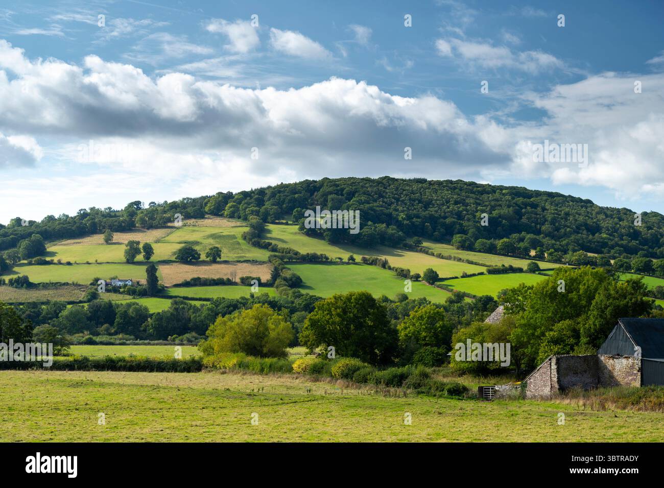 Idilliaco e pittoresco paesaggio gallese con pendenze ondulate in effetto trapuntato patchwork e fattorie rurali nel South Pembrokeshire, Galles, Regno Unito Foto Stock
