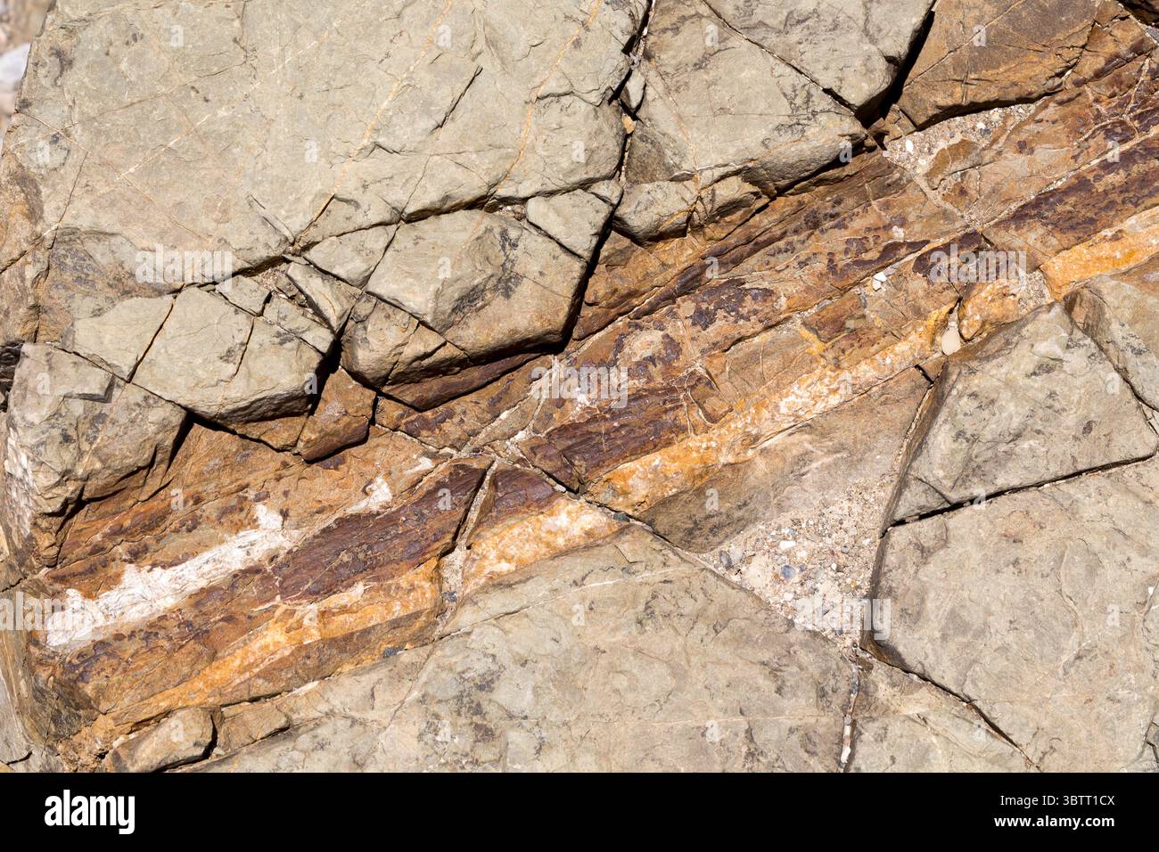 Foresta fossile nel Parco Nazionale delle Turritelas, un parco paleontologico, nel deserto, San Juan Raya, Puebla, Messico Foto Stock