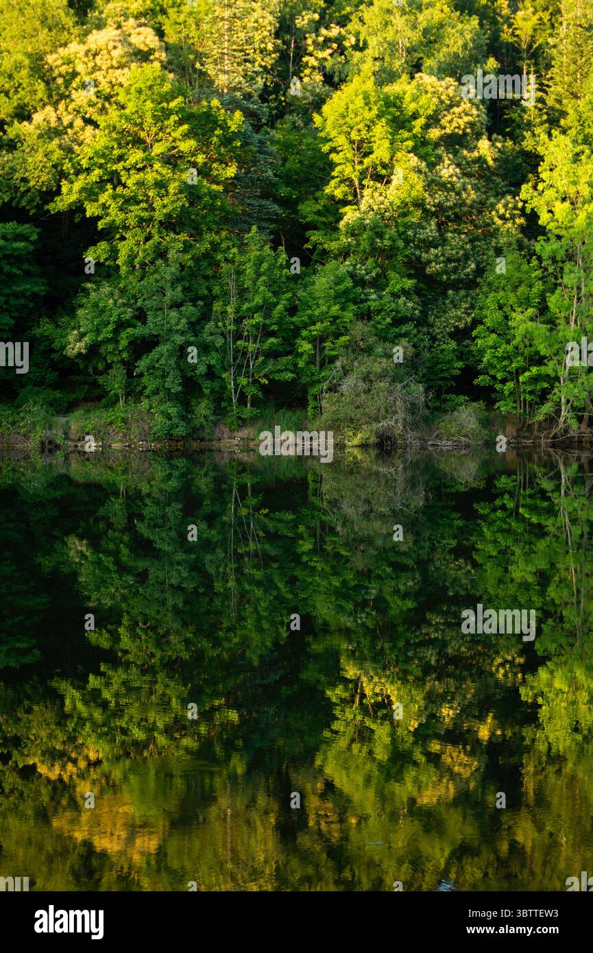 La luce dell'ora d'oro bagna una tranquilla foresta francese, che si riflette in un lago calmo. Perfetto per la natura, i viaggi, la meditazione o i temi ambientali Foto Stock