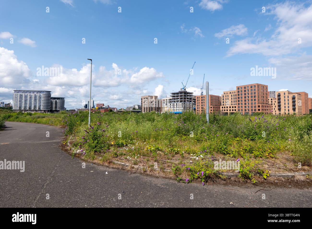Manchester, Regno Unito. 14 luglio 2025. Peel Waters, specialista della rigenerazione del litorale, sta progettando di rigenerare i restanti 25 acri di terreno in un nuovo quartiere sul lungomare sull'isola Pomona di Manchester. Peel Waters ha presentato al Consiglio di Trafford una richiesta di valutazione dell'impatto ambientale (via) prima di presentare una domanda di pianificazione generale per il piano generale sulle acque di Manchester nel corso dell'anno. L'isola è attualmente sede di varie specie di uccelli acquatici e gestoli, nonché di altri animali selvatici. Pomona si trova tra Bridgewater Canal e Manchester Ship Canal. PI Foto Stock