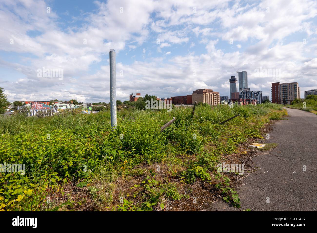 Manchester, Regno Unito. 14 luglio 2025. Peel Waters, specialista della rigenerazione del litorale, sta progettando di rigenerare i restanti 25 acri di terreno in un nuovo quartiere sul lungomare sull'isola Pomona di Manchester. Peel Waters ha presentato al Consiglio di Trafford una richiesta di valutazione dell'impatto ambientale (via) prima di presentare una domanda di pianificazione generale per il piano generale sulle acque di Manchester nel corso dell'anno. L'isola è attualmente sede di varie specie di uccelli acquatici e gestoli, nonché di altri animali selvatici. Pomona si trova tra Bridgewater Canal e Manchester Ship Canal. PI Foto Stock