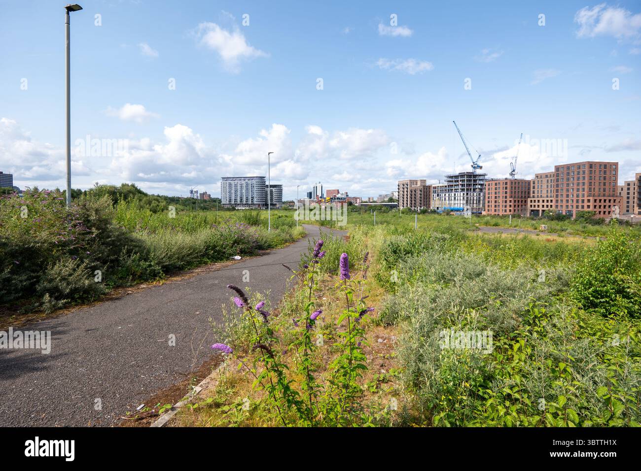 Manchester, Regno Unito. 14 luglio 2025. Peel Waters, specialista della rigenerazione del litorale, sta progettando di rigenerare i restanti 25 acri di terreno in un nuovo quartiere sul lungomare sull'isola Pomona di Manchester. Peel Waters ha presentato al Consiglio di Trafford una richiesta di valutazione dell'impatto ambientale (via) prima di presentare una domanda di pianificazione generale per il piano generale sulle acque di Manchester nel corso dell'anno. L'isola è attualmente sede di varie specie di uccelli acquatici e gestoli, nonché di altri animali selvatici. Pomona si trova tra Bridgewater Canal e Manchester Ship Canal. PI Foto Stock