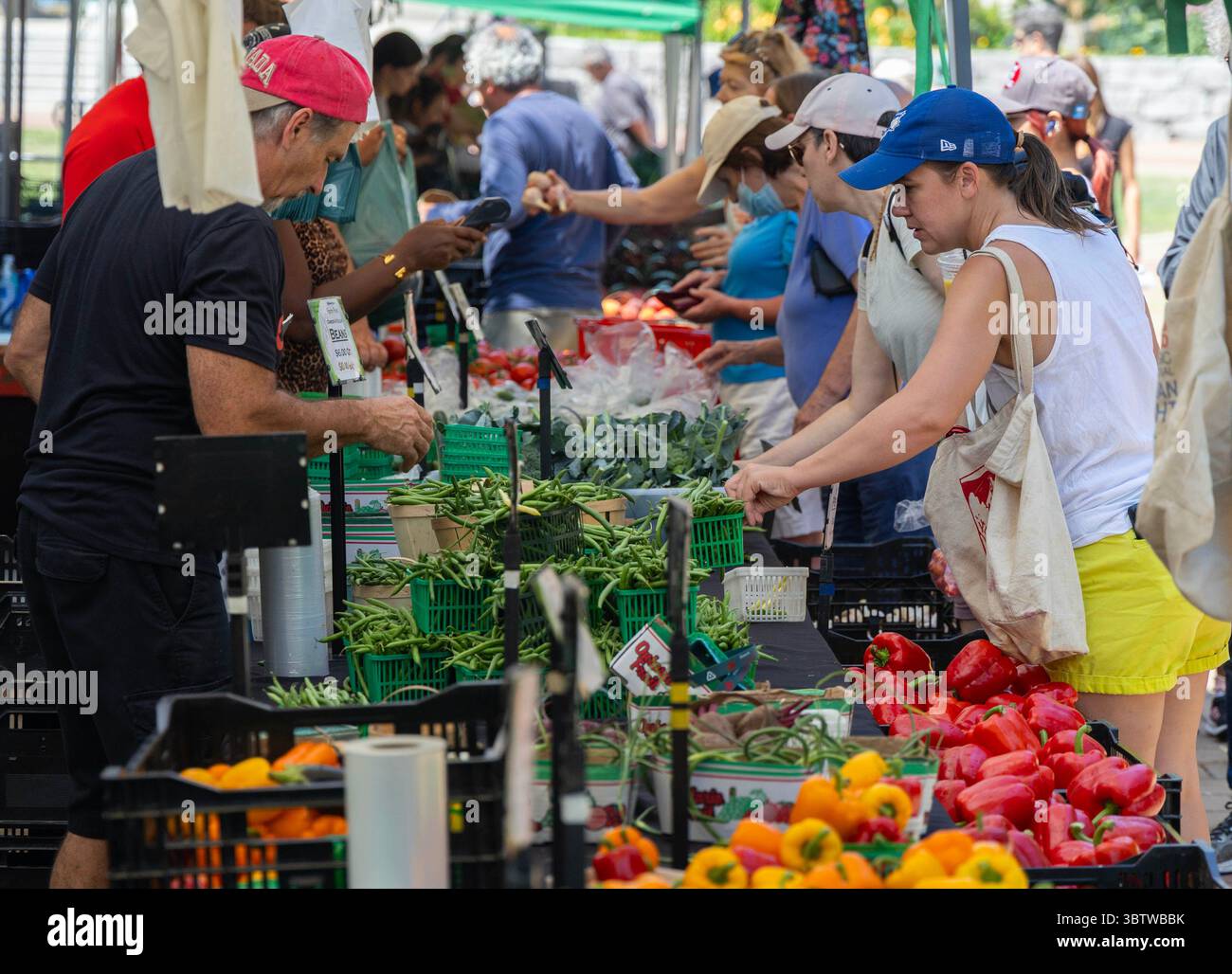 Toronto, Canada. 15 luglio 2025. I clienti acquistano generi alimentari in un mercato agricolo a Toronto, Canada, il 15 luglio 2025. L'indice dei prezzi al consumo (CPI, Consumer Price Index) del Canada è aumentato del 1,9% su base annuale a giugno, rispetto a un aumento del 1,7% a maggio, secondo Statistics Canada martedì. Crediti: Zou Zheng/Xinhua/Alamy Live News Foto Stock
