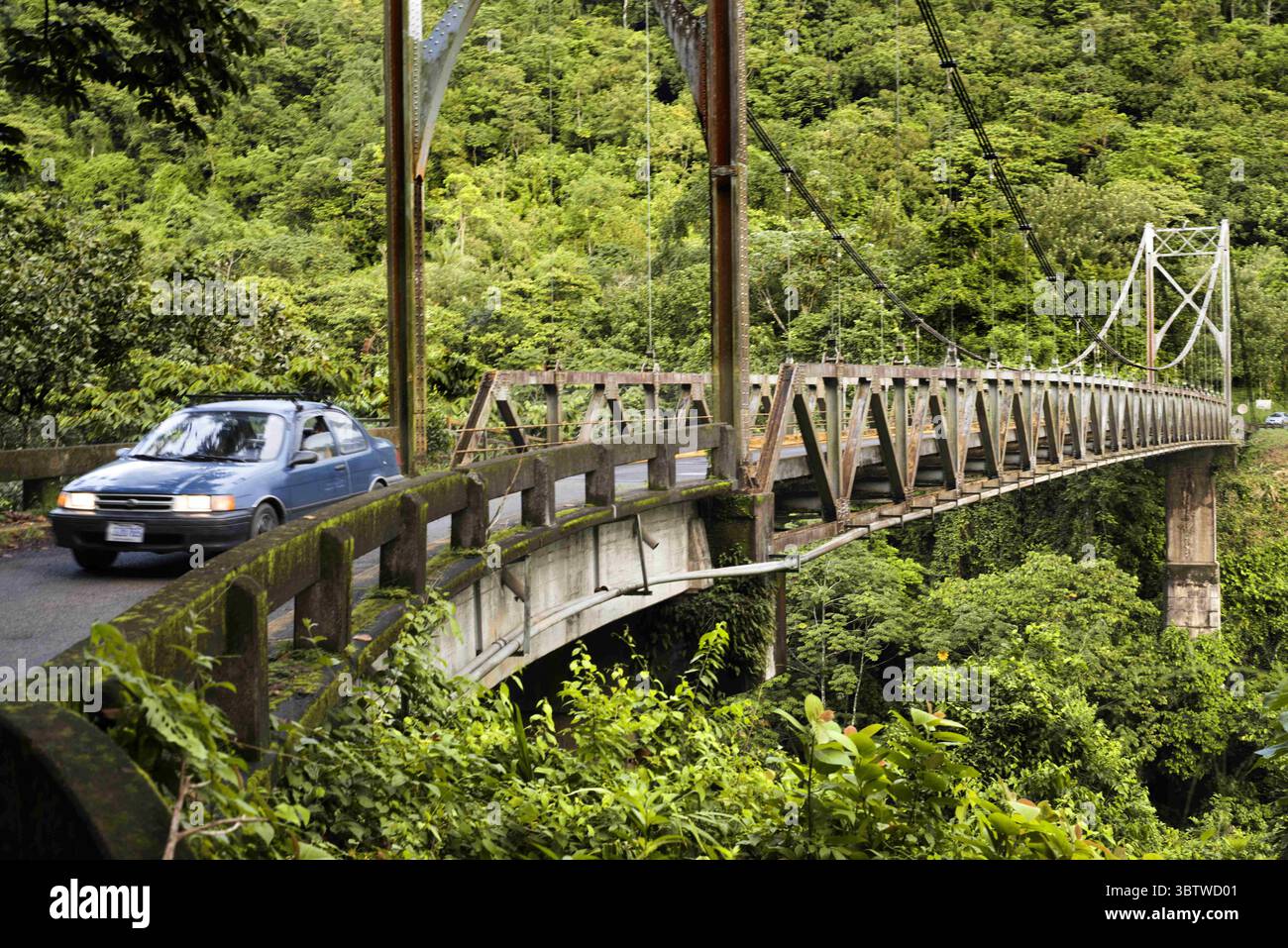 30 ottobre 2016, Costa Rica: San Isidro de PeÃ±come ponte sospeso di Blancas attraversa il fiume Penas Blancas nella Costa Rica centrale. Ponte tra la fortuna e San Ramon in de 141 Road, Costa Rica, provincia di Alajuela, Costa Rica, America centrale. (Immagine di credito: © Sergi Reboredo/ZUMA Wire) Foto Stock