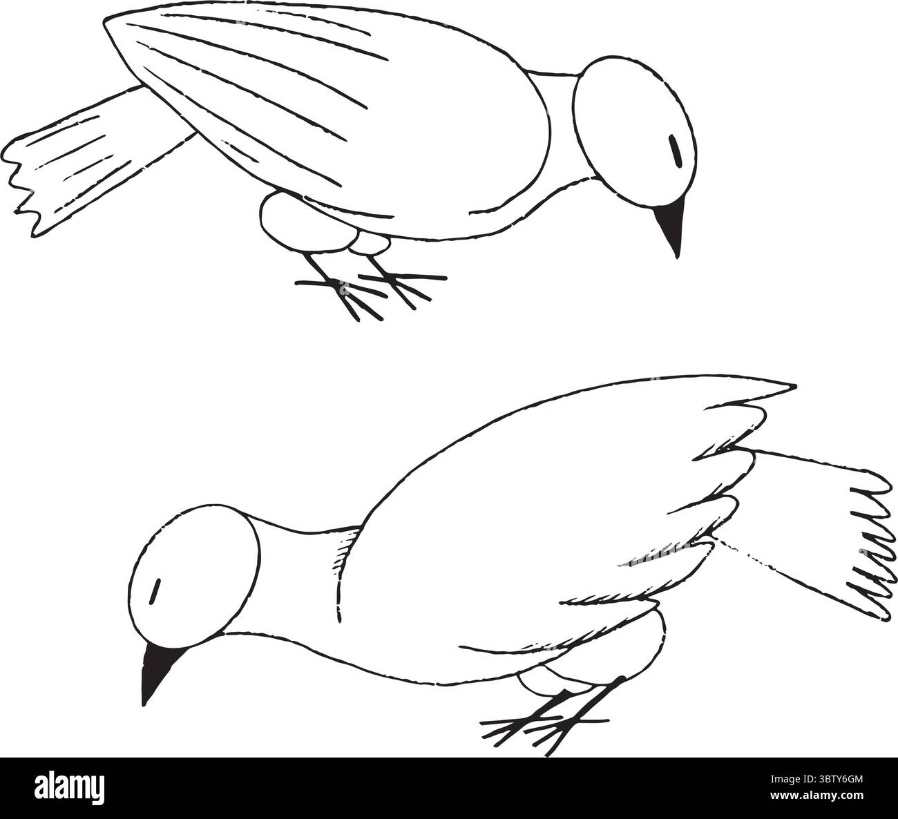 Questo disegno artistico di due uccelli stilizzati cattura la loro grazia e sottolinea la necessità di conservazione della natura. Illustrazione vettoriale disegnata a mano in grafica in bianco e nero. Illustrazione Vettoriale