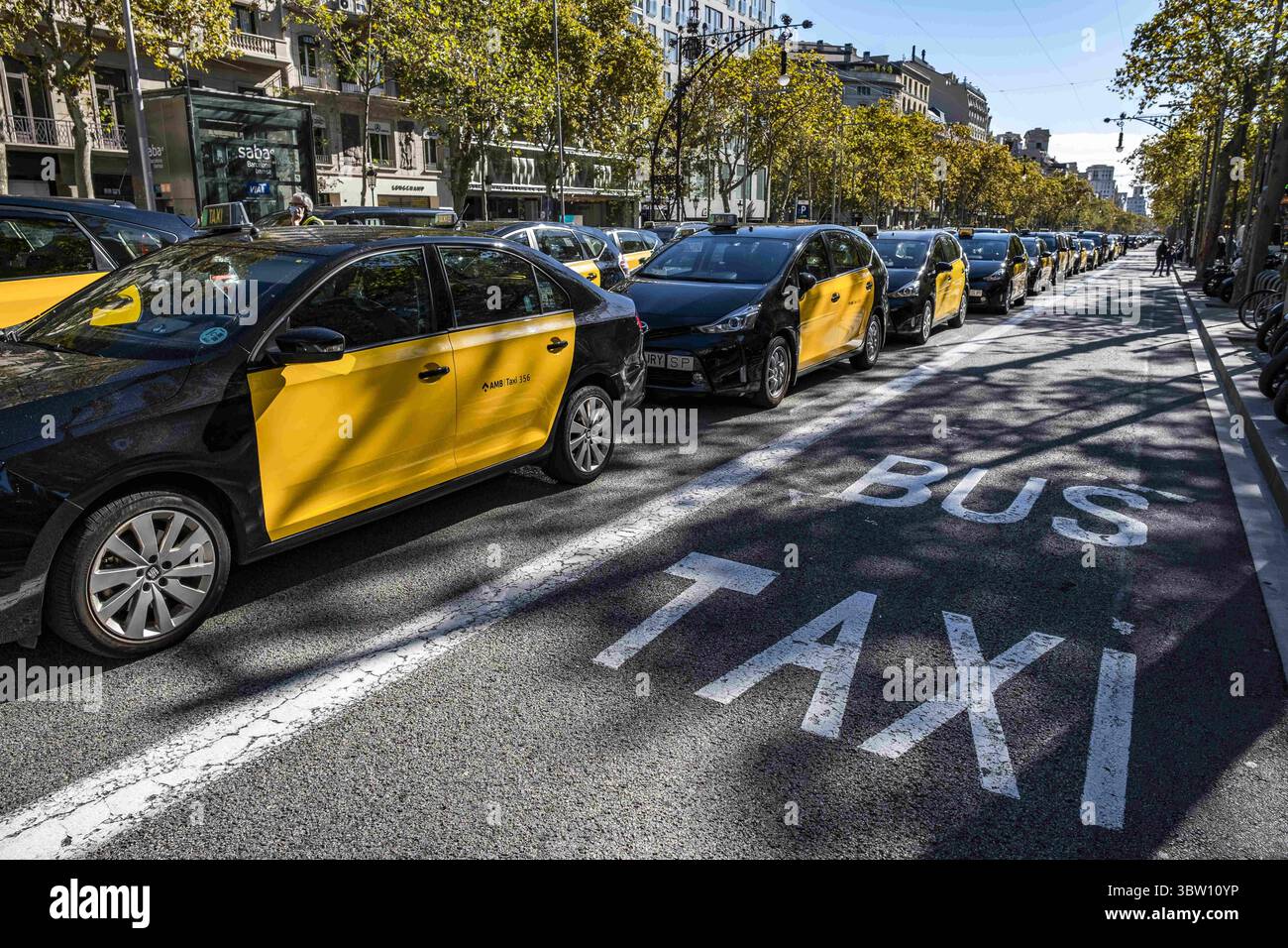 26 ottobre 2020, Barcellona, Catalogna, Spagna: Un gran numero di veicoli taxi sono parcheggiati in fila sul Passeig de GrÃ cia a Barcellona..le principali organizzazioni di tassisti e sindacati di Barcellona hanno indetto una giornata di sciopero parcheggiando i loro veicoli nel centro della città e convocando un'assemblea davanti alla delegazione del governo spagnolo in Catalogna. Il settore dei taxi chiede aiuto per far fronte al basso reddito economico dovuto alla pandamia Covid19 che mantiene la maggior parte del commercio e del tempo libero senza attività. (Immagine di credito: © immagini Paco Freire/SOPA tramite cavo ZUMA) Foto Stock