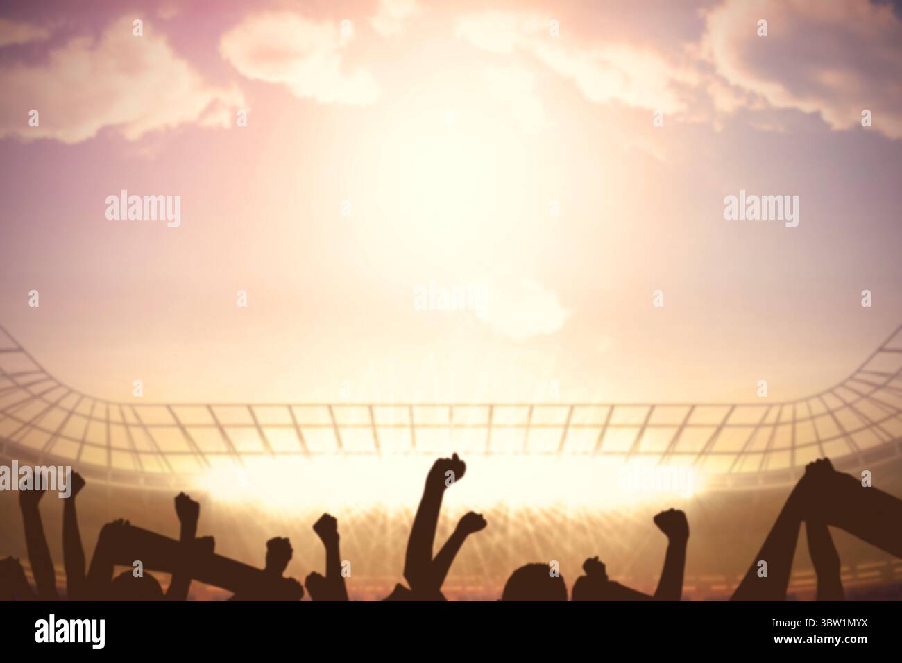Stadio di calcio con il tifo folla Foto Stock