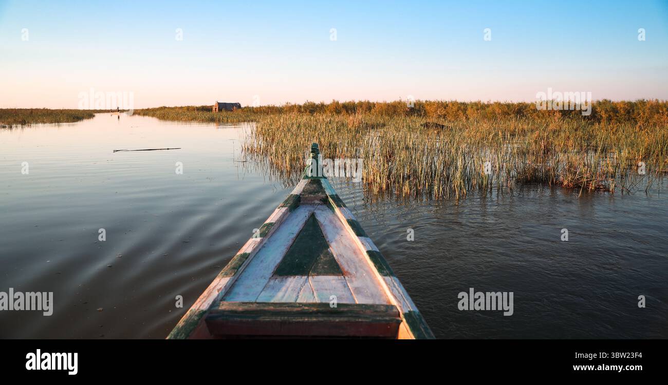 Dalla prua di una barca, le acque scintillanti delle paludi mesopotamiche riflettono il vibrante tramonto, circondato da lussureggianti canne e fauna selvatica. Foto Stock