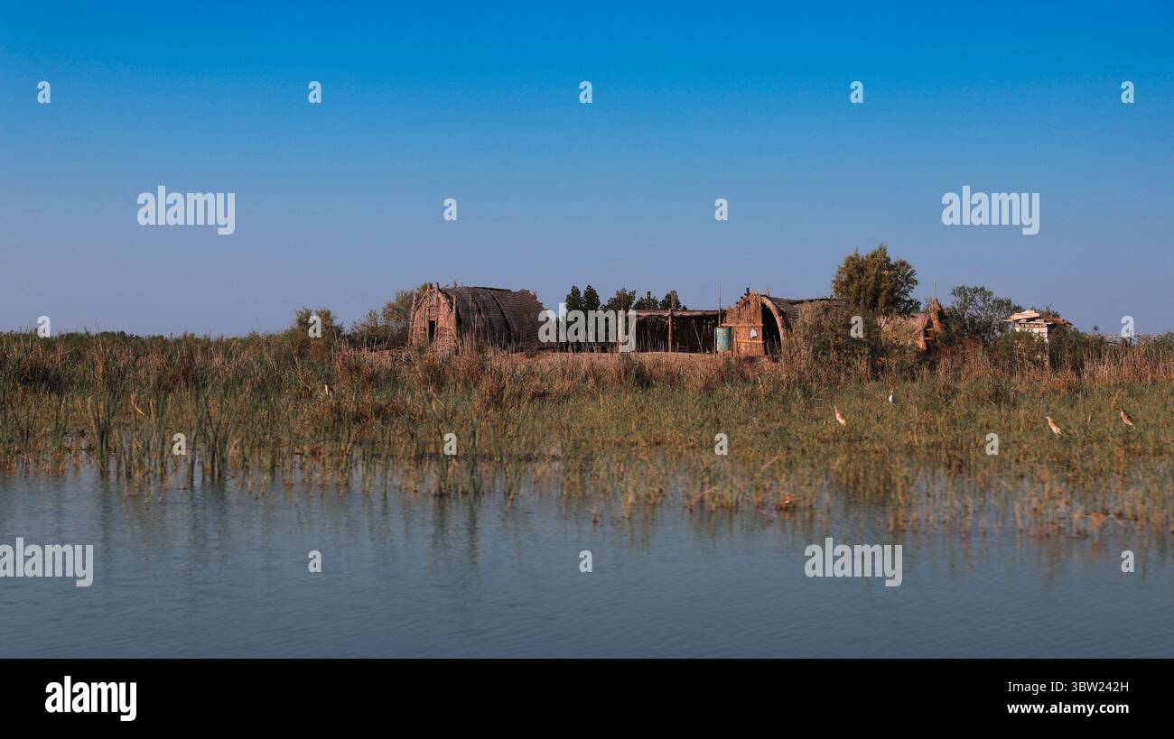 Case fatte di canne si stagliano sul bordo di una palude in Iraq, riflettendo lo stile di vita unico degli abitanti locali in un ambiente sereno. Foto Stock
