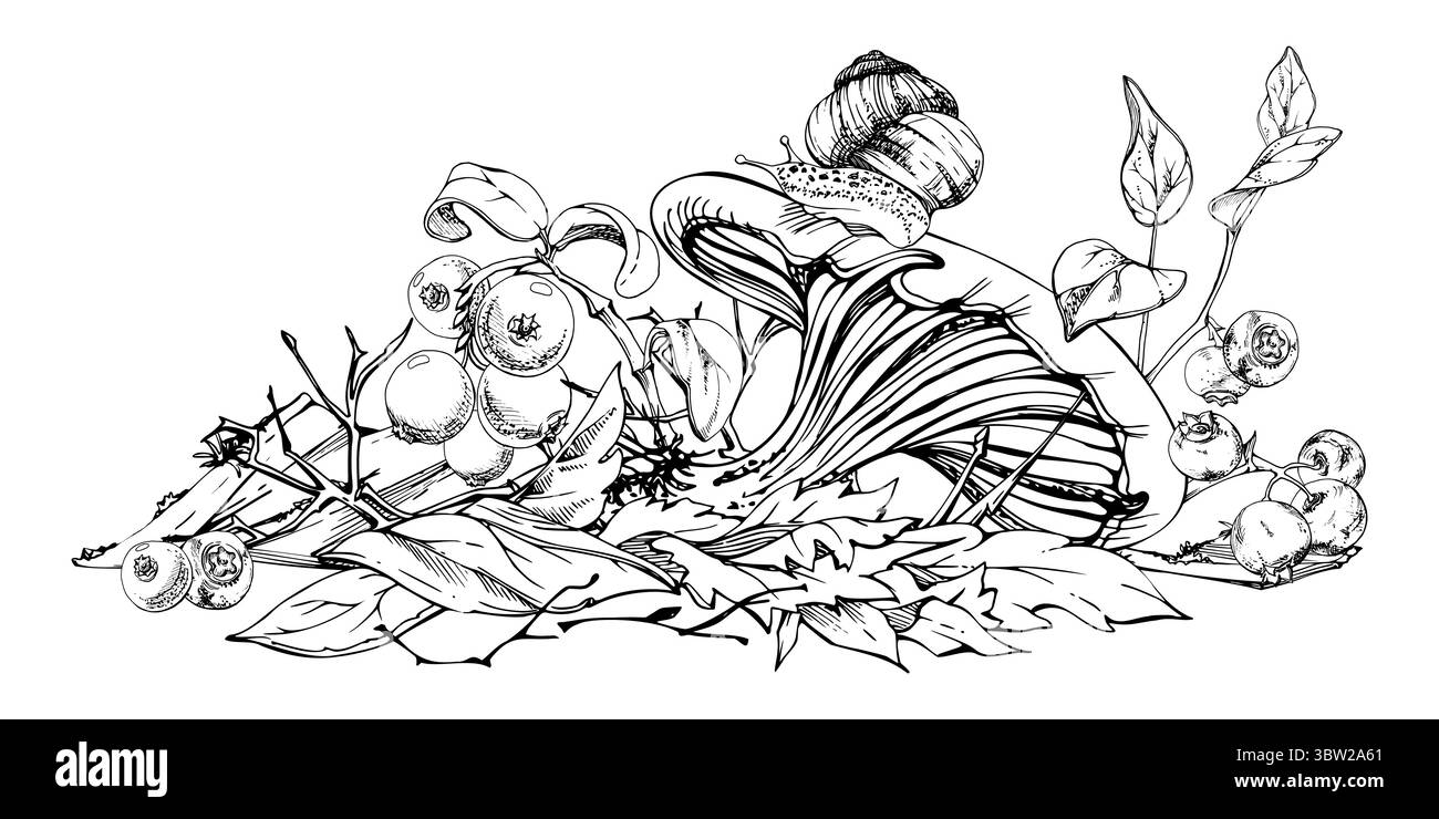 Russula webcap fungo cortinarius, lumaca strisciante sul berretto, mirtillo su un mucchio di foglie autunnali cadute, ramoscelli di frutti di bosco. Terreno boschivo Illustrazione Vettoriale
