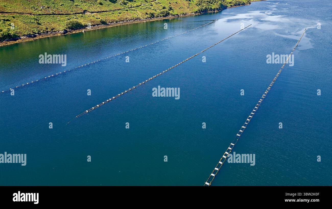 Loch Inchard Mussel Site Sutherland Scotland Longlines in estate parte di Loch Inchard è designata come area di raccolta dei molluschi Foto Stock
