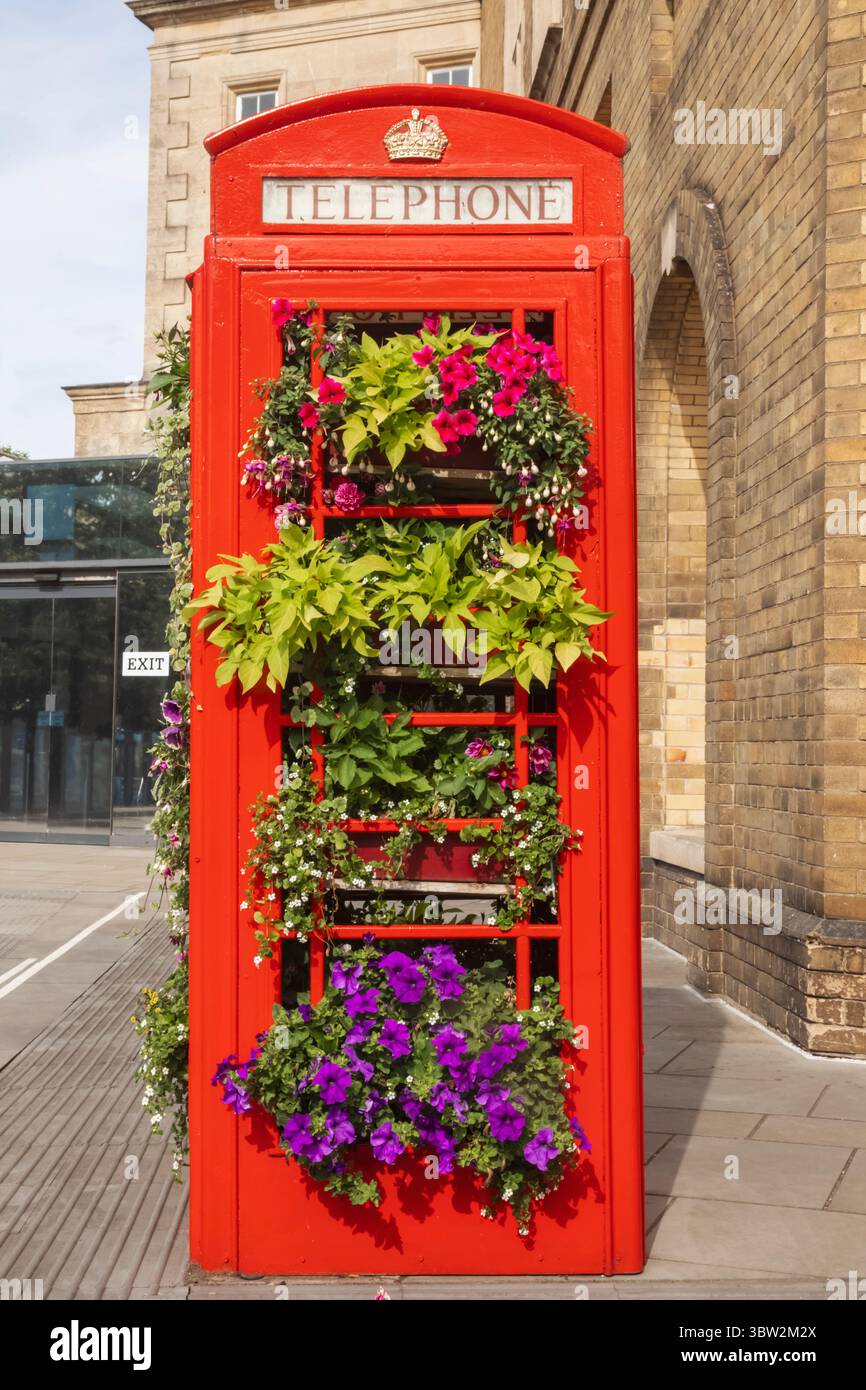 Inghilterra, Somerset, Bath, telefono rosso tradizionale usato da Dis convertito in colorato display a fiori Foto Stock