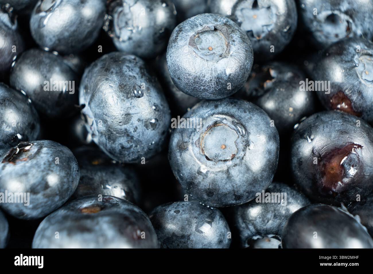 Macro shot di mirtilli succosi ricoperti di gocce d'acqua. Foto Stock
