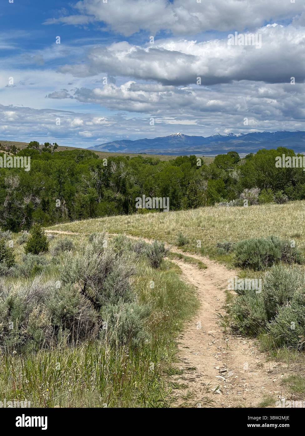 Un tortuoso sentiero sterrato conduce attraverso una macchia di sapone e una prateria aperta verso una vista lontana delle montagne innevate sotto un cielo parzialmente nuvoloso. Montana Foto Stock