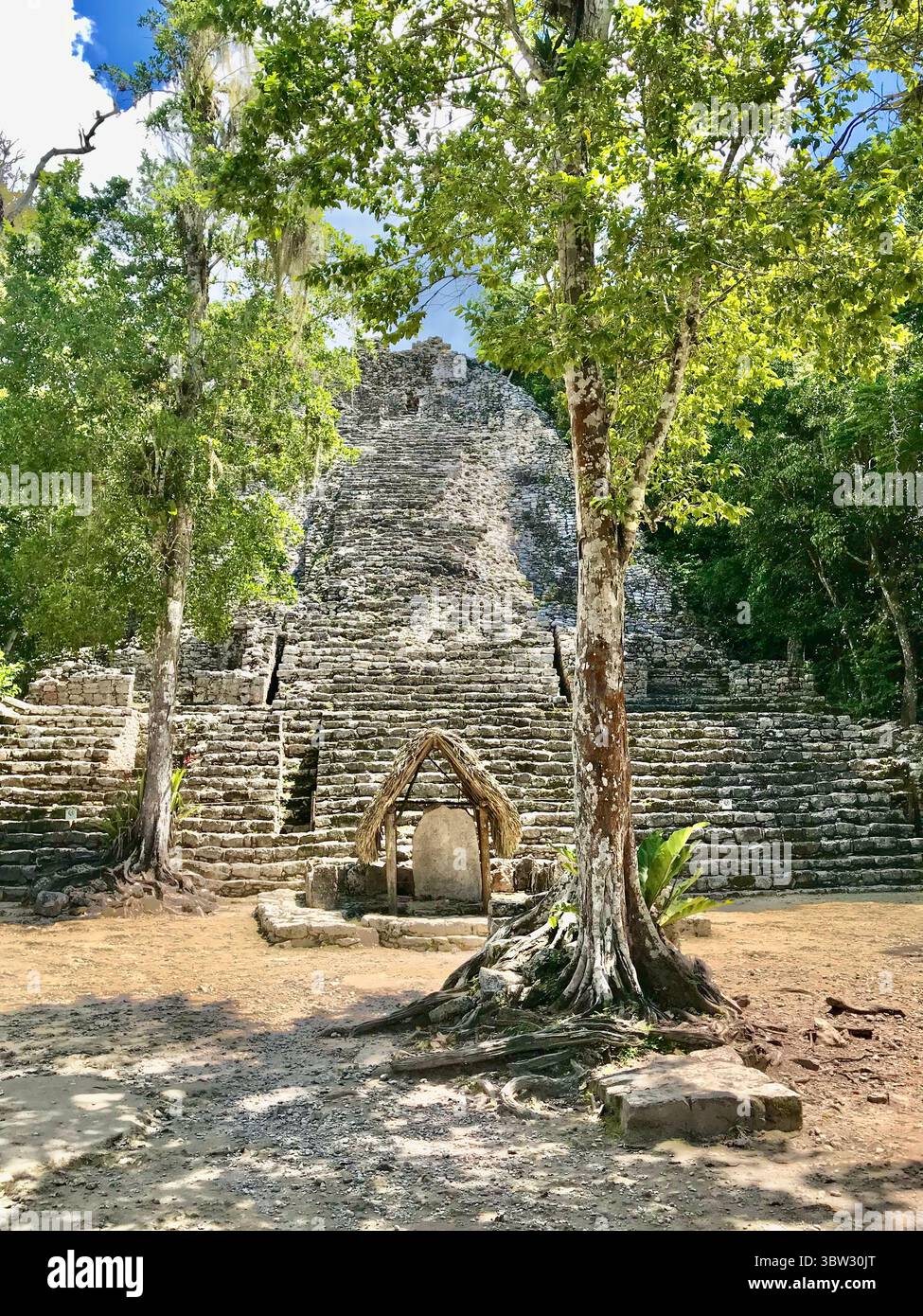 Nohoch Mul Pyramid, Coba, Messico Foto Stock
