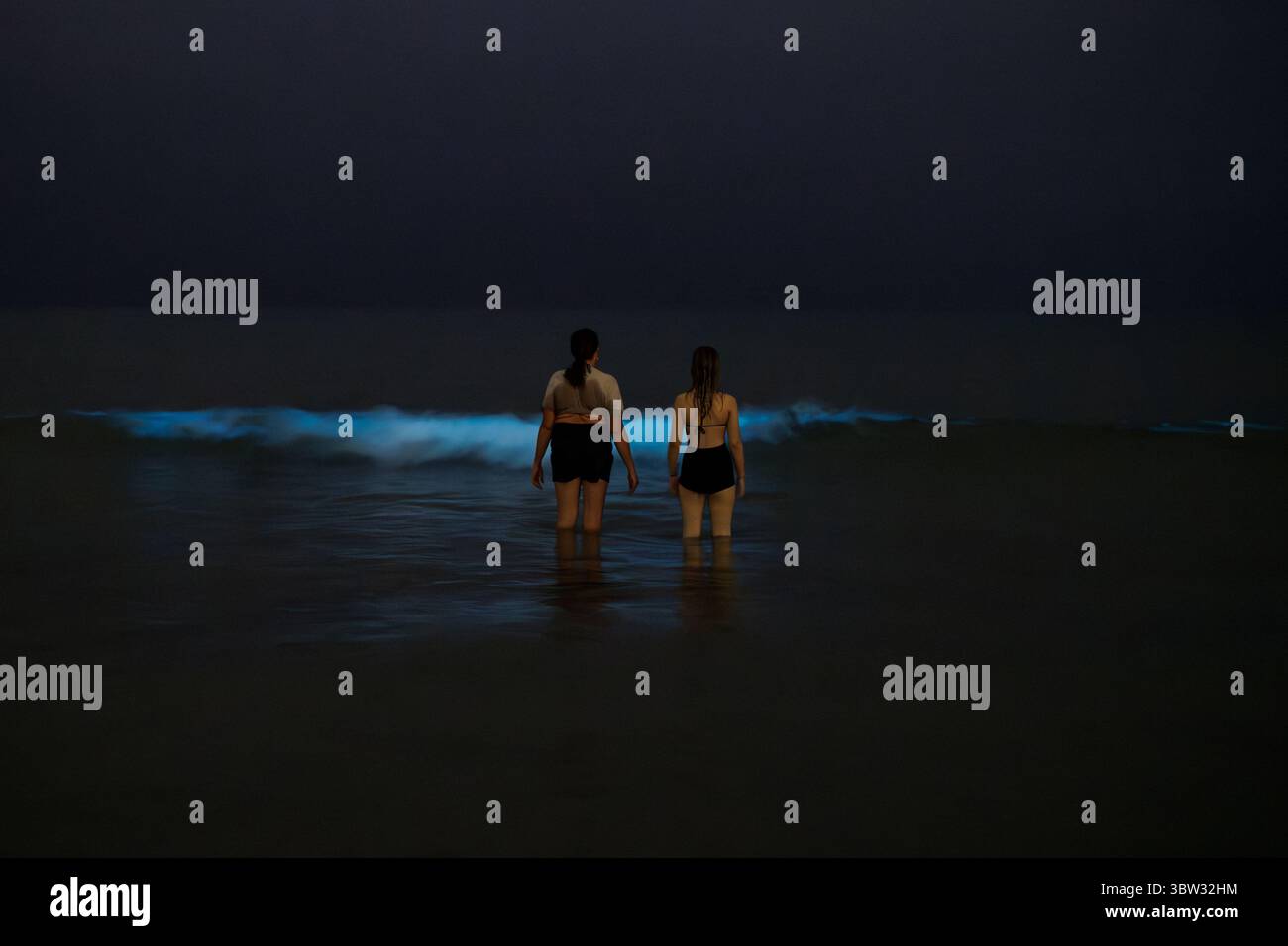 Plancton bioluminescente su alcune delle migliori spiagge del Regno Unito Foto Stock