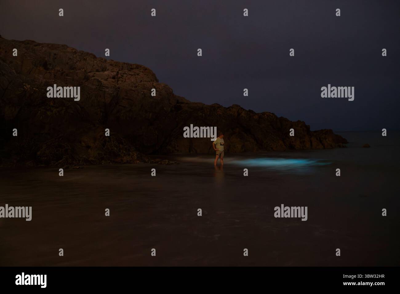 Plancton bioluminescente su alcune delle migliori spiagge del Regno Unito Foto Stock