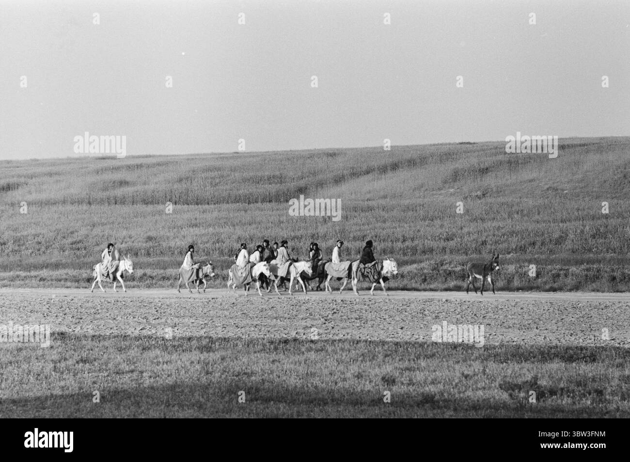 Aktuell 47b - 2 - 1969: Bodø - BaghdadBy treno 10.000 km attraverso 11 paesi, 8 capitali e 2 continenti. I dipendenti DI AKTUELL, Bjørn Hervik e Sverre A. Børretzen, hanno preso il treno da Bodø a Baghdad, un tratto ferroviario di circa diecimila chilometri. Il viaggio attraverso due continenti durò quattordici giorni e attraversò Norvegia, Svezia, Danimarca, Germania, Austria, Ungheria, Jugoslavia, Bulgaria, Turchia, Siria e Iraq. Siamo in Mesopotamia e guidiamo lungo campi di grano giallo. Un branco di donne arabe sta andando al raccolto. Cavalcano asini, proprio come le loro madri e nonne Foto Stock