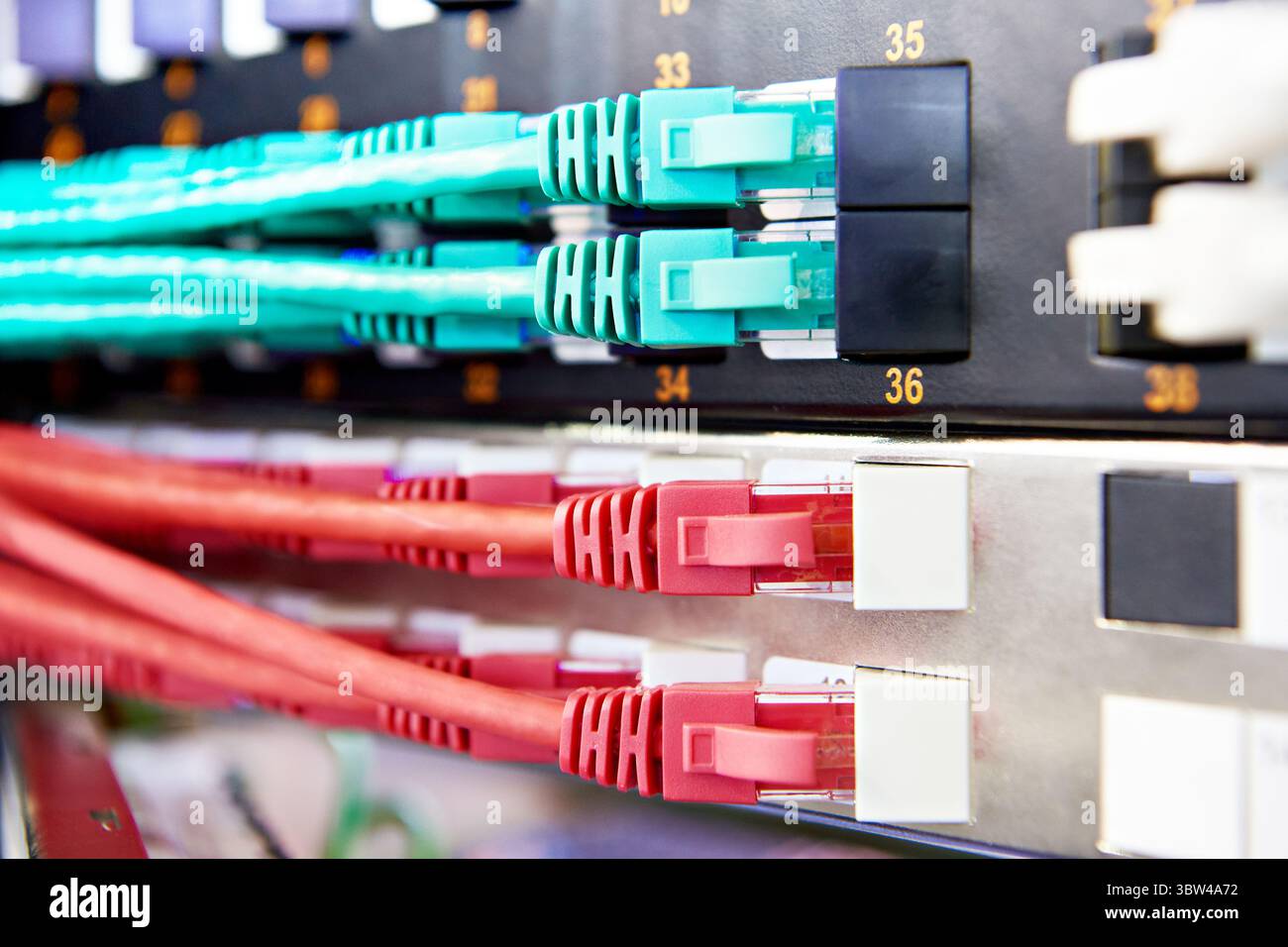 Cavi di rete con connettori sullo switch Foto Stock