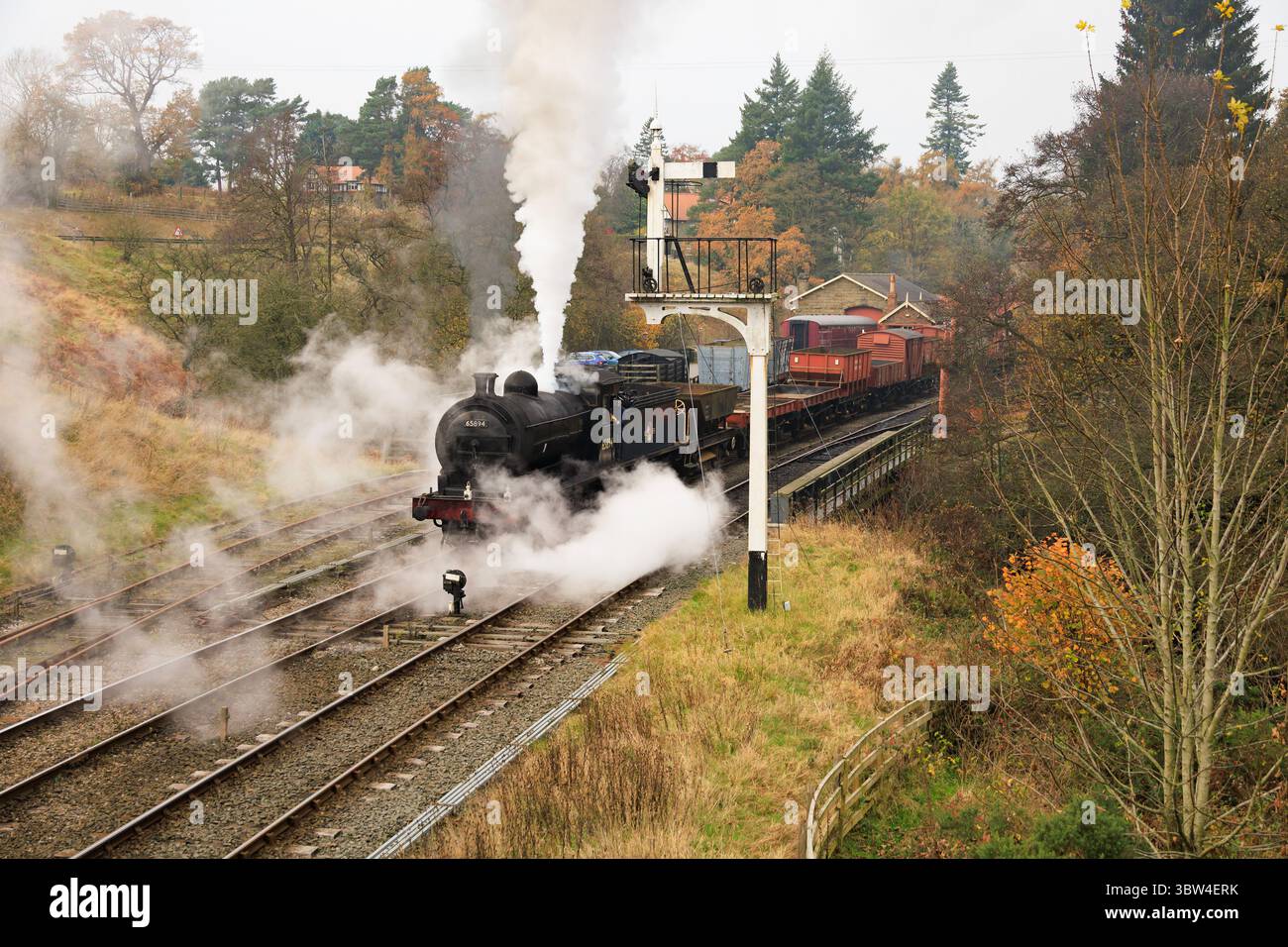 North Yorkshire Moors Railway, NYMR, Moorlander, P3 65894 che si getta alla stazione di Goathland. Foto Stock