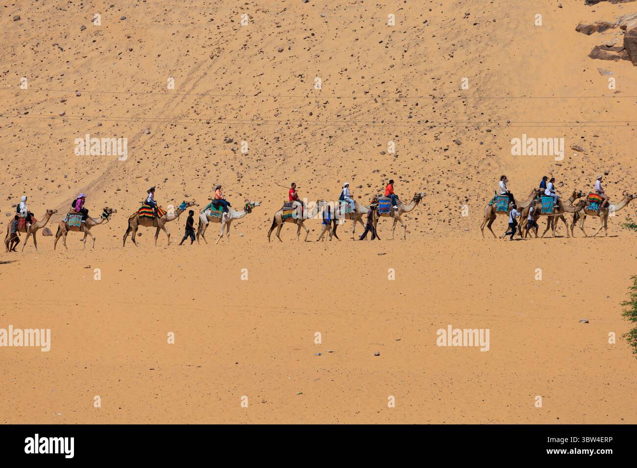 I turisti europei fanno un giro in cammello con i pastori nel deserto del Sahara sulle rive del fiume Nilo, Egitto Foto Stock