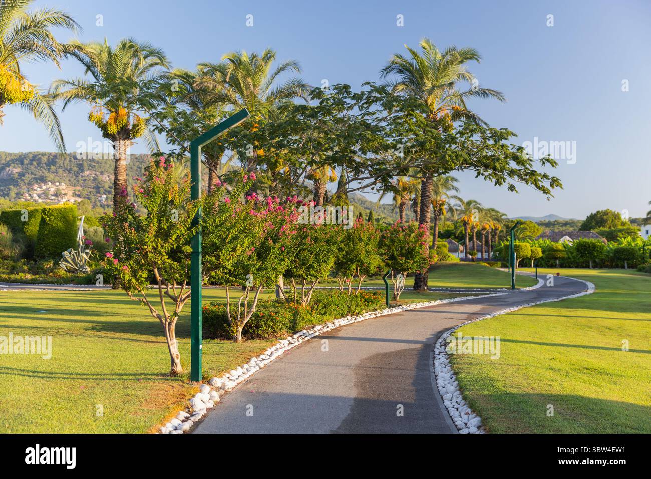 Un bel sentiero giardino circondato da palme, fiori vibranti e vegetazione lussureggiante, che crea un ambiente all'aperto tranquillo e sereno, ideale per rela Foto Stock