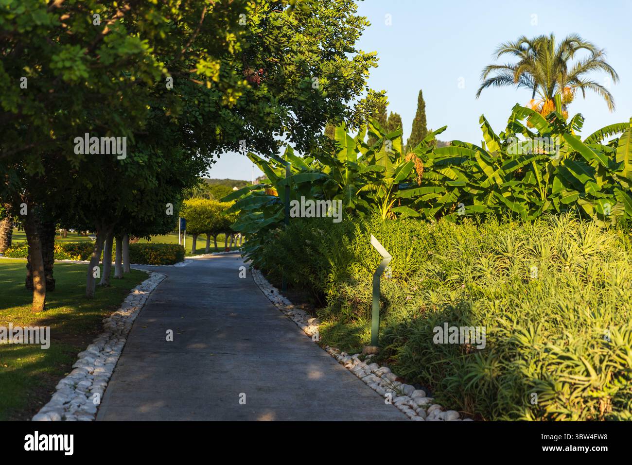 Il sentiero del giardino Shadedl è circondato da alberi e vegetazione lussureggiante, creando un ambiente all'aperto tranquillo e sereno, ideale per rilassarsi o fare piacevoli passeggiate Foto Stock