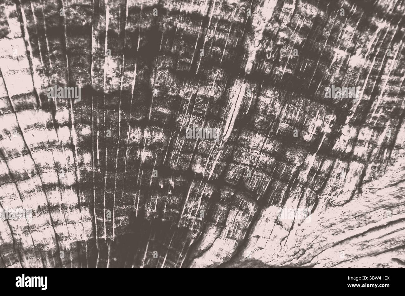 Texture in legno astratto in tonalità seppia, ideale per sfondi, temi di design rustici, arte ispirata alla natura o grafica organica. Foto Stock
