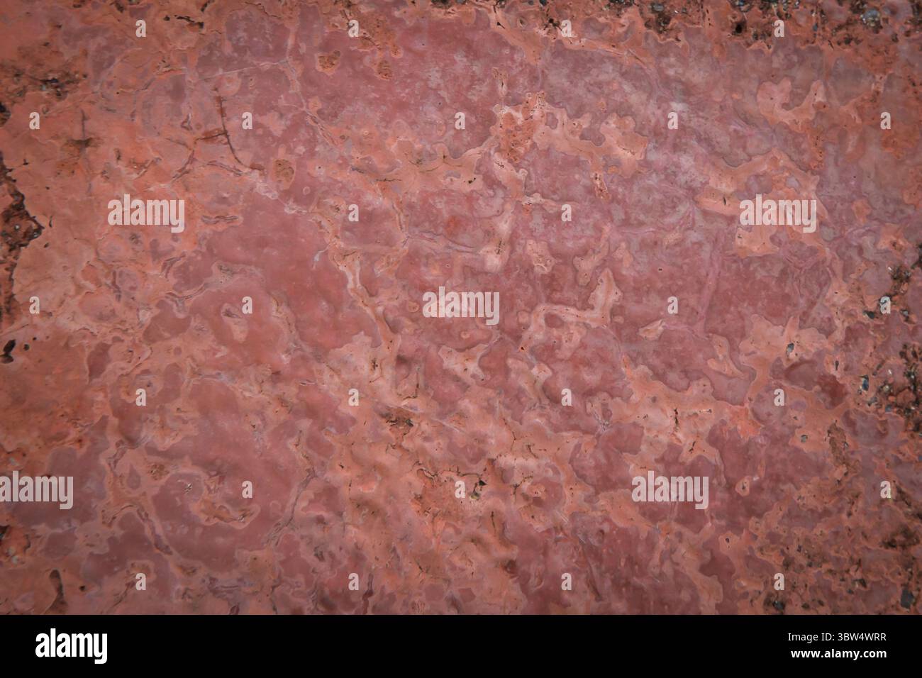 Lo sfondo rosso cemento viene utilizzato come immagine di sfondo. Foto Stock
