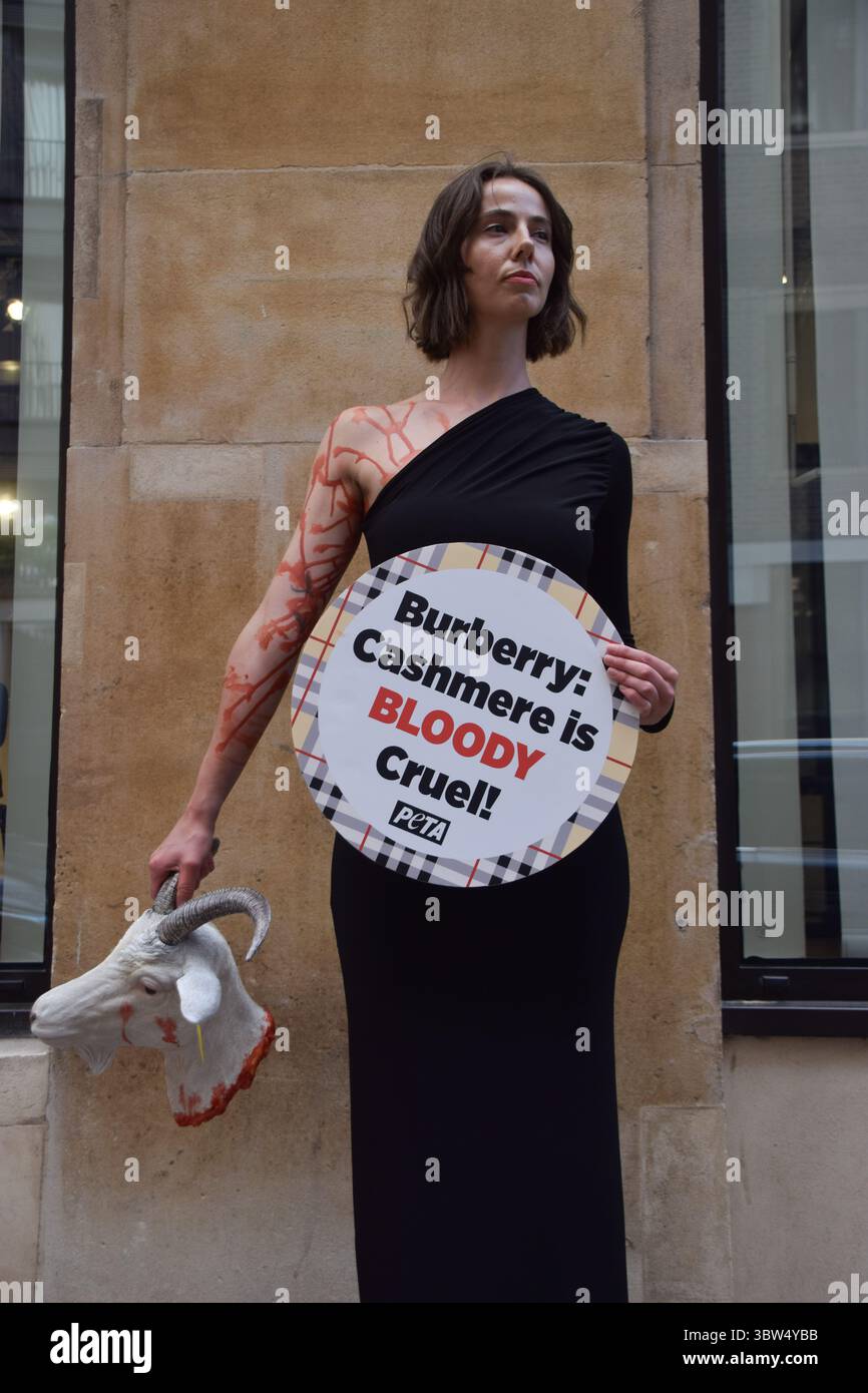 Londra, Regno Unito. 16 luglio 2025. Un attivista della PETA si erge con una "testa di capra recisa" artificiale e un cartello che dice "il cashmere è crudele" fuori dalla sede di Burberry a Horseferry House mentre il gruppo della moda tiene la sua Assemblea generale annuale (AGM). L'azione fa parte della campagna in corso del gruppo per i diritti degli animali che chiede a Burberry di eliminare il cashmere dai suoi prodotti e di utilizzare invece tessuti vegani. Crediti: Vuk Valcic/Alamy Live News Foto Stock