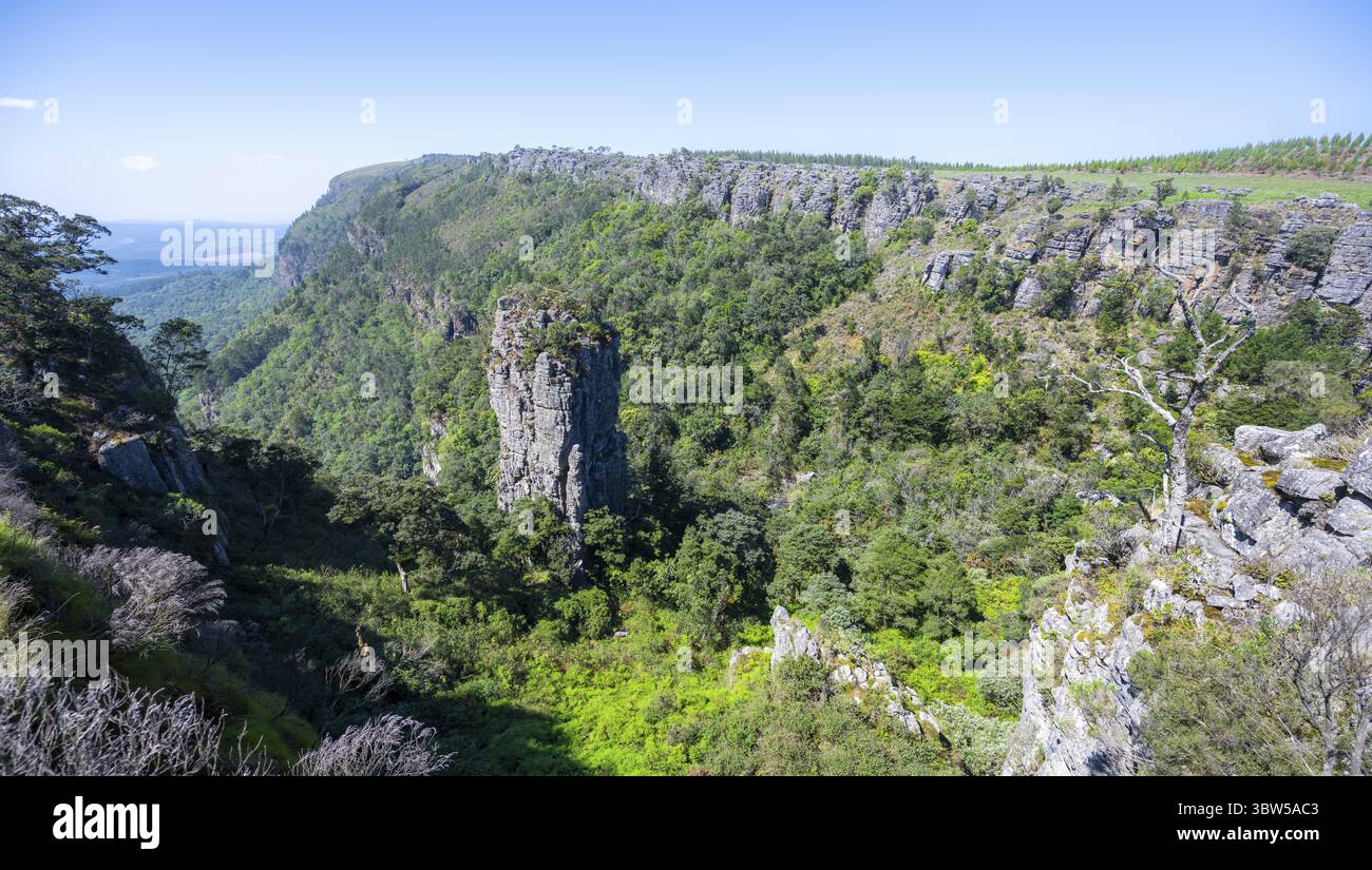 Ago di roccia in un canyon densamente boscoso, Pinnacle Rock, vista sul paesaggio del canyon, vicino a Graskop, Mpumalanga, Sudafrica Foto Stock