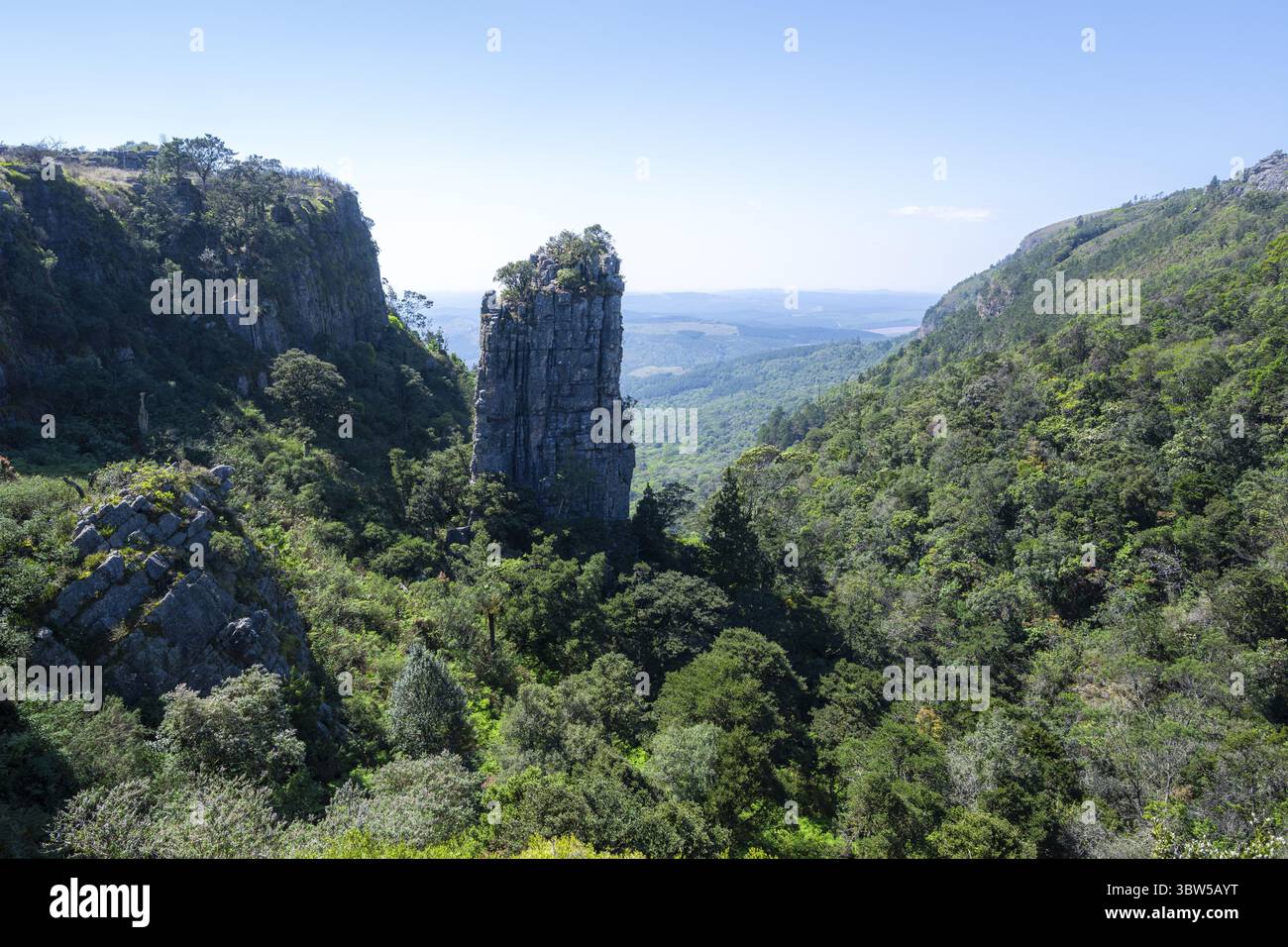 Ago di roccia in un canyon densamente boscoso, Pinnacle Rock, vista sul paesaggio del canyon, vicino a Graskop, Mpumalanga, Sudafrica Foto Stock
