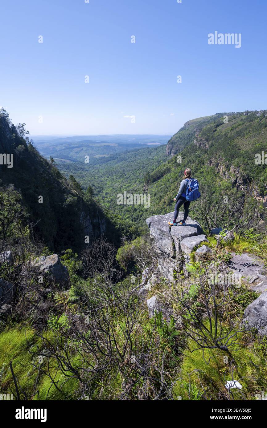 Giovane donna in piedi su un affioramento roccioso, vista su canyon densamente boscoso, Pinnacle Rock, vicino a Graskop, Mpumalanga, Sudafrica Foto Stock