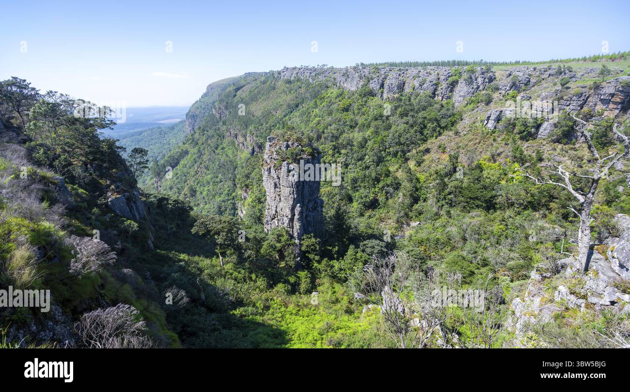 Ago di roccia in un canyon densamente boscoso, Pinnacle Rock, vista sul paesaggio del canyon, vicino a Graskop, Mpumalanga, Sudafrica Foto Stock