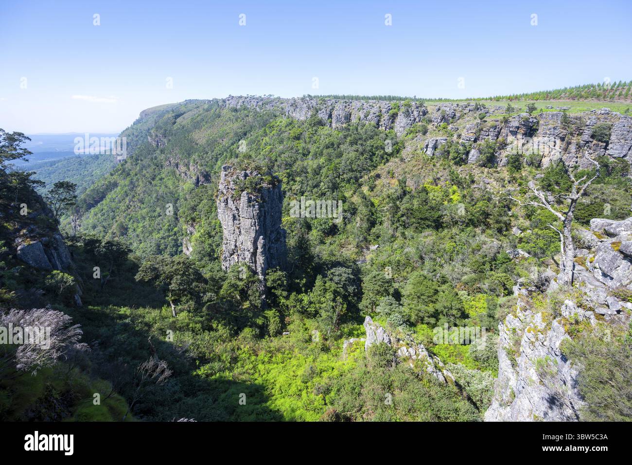 Ago di roccia in un canyon densamente boscoso, Pinnacle Rock, vista sul paesaggio del canyon, vicino a Graskop, Mpumalanga, Sudafrica Foto Stock