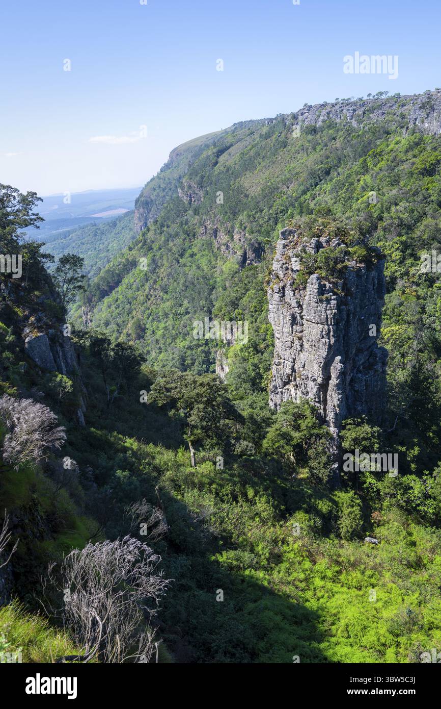 Ago di roccia in un canyon densamente boscoso, Pinnacle Rock, vista sul paesaggio del canyon, vicino a Graskop, Mpumalanga, Sudafrica Foto Stock