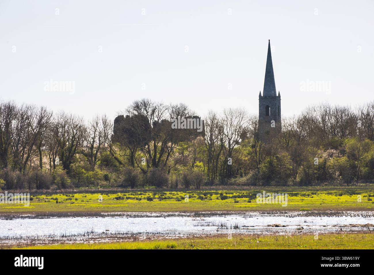 palude di fen Foto Stock
