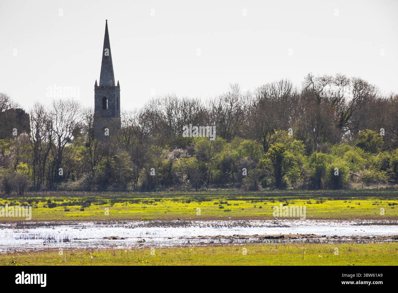 palude di fen Foto Stock