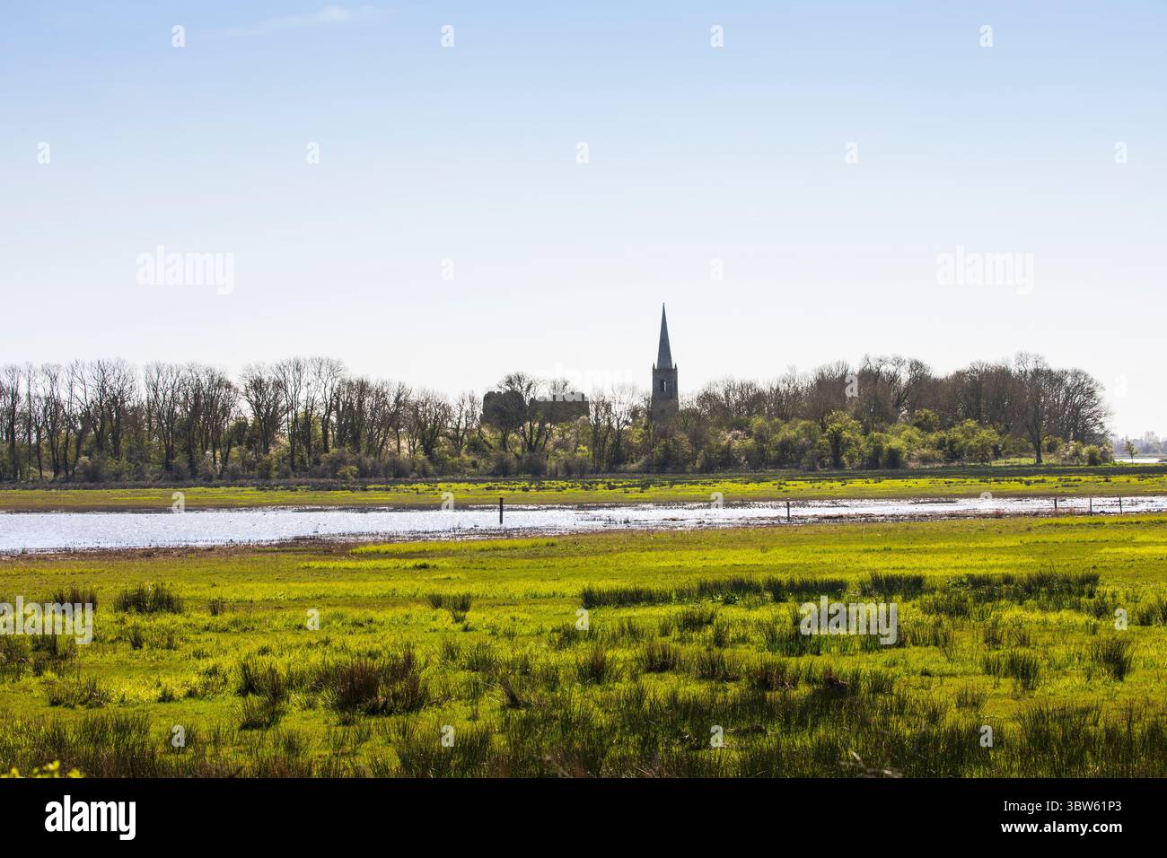palude di fen Foto Stock