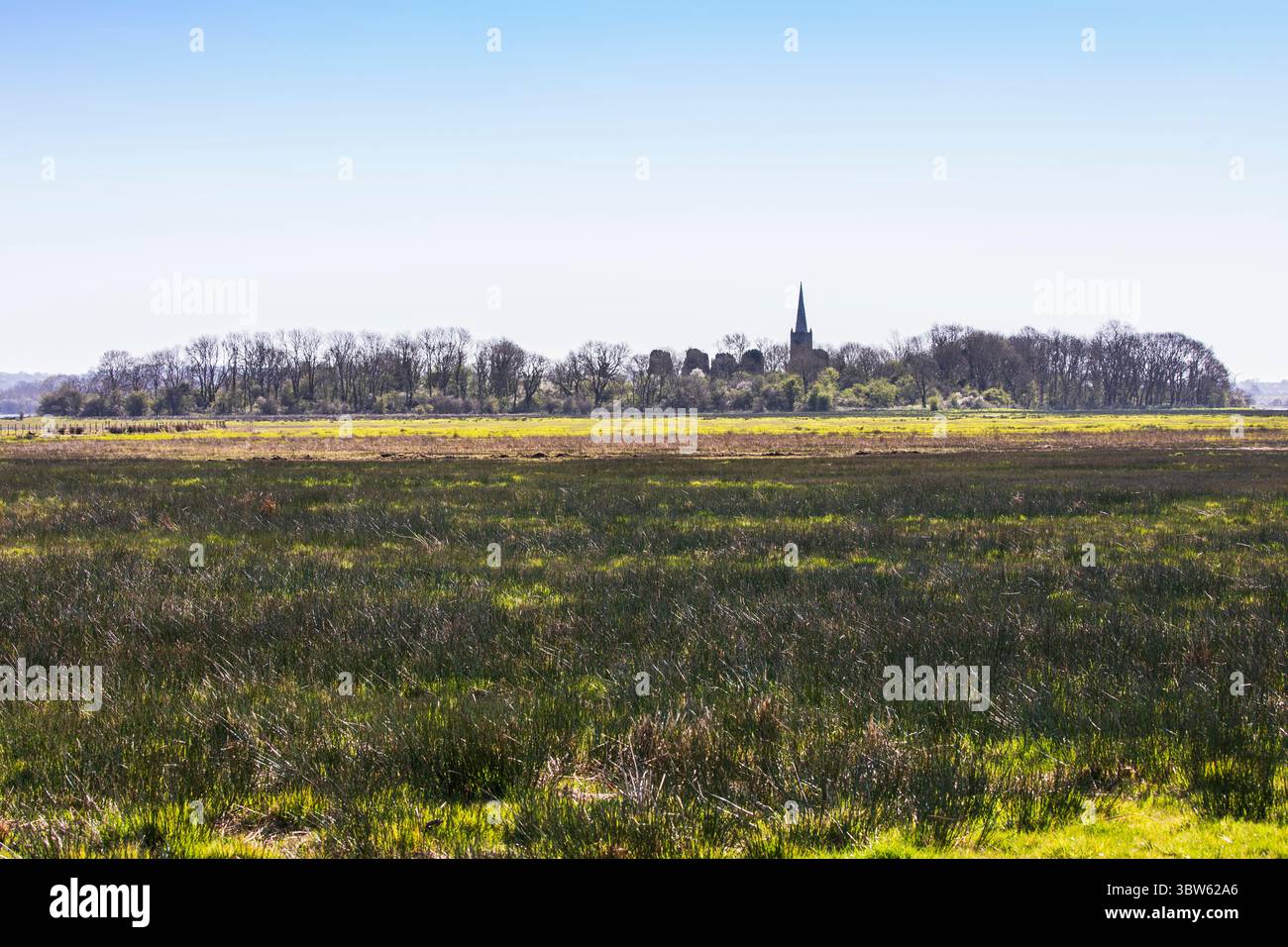 palude di fen Foto Stock