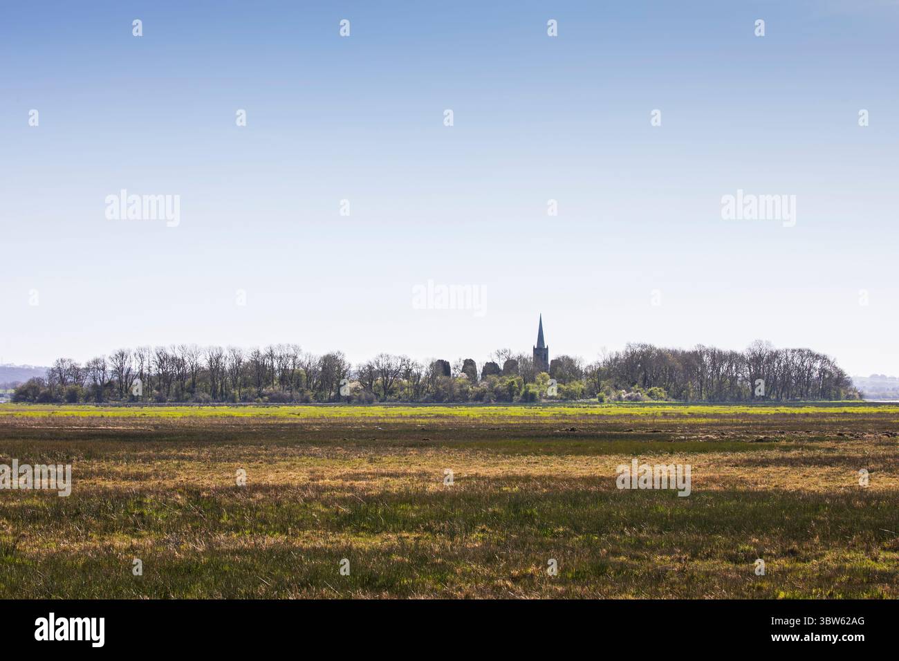 palude di fen Foto Stock