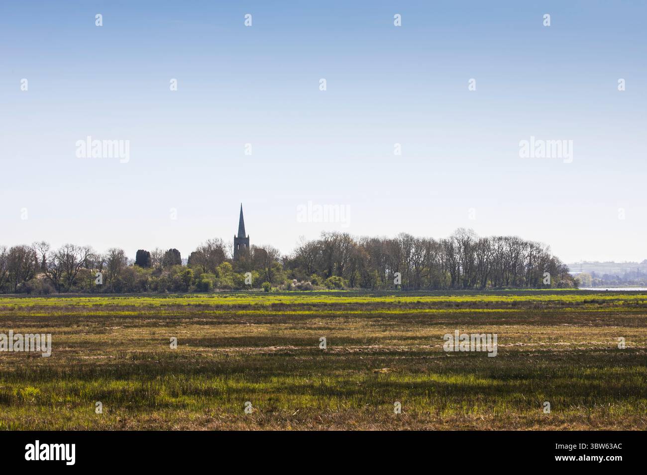 palude di fen Foto Stock